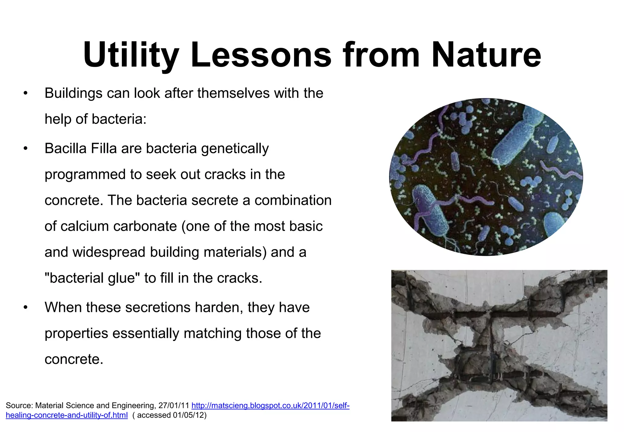 Utility Lessons from Nature
    •     Buildings can look after themselves with the
          help of bacteria:

    •     Bacilla Filla are bacteria genetically
          programmed to seek out cracks in the
          concrete. The bacteria secrete a combination
          of calcium carbonate (one of the most basic
          and widespread building materials) and a
          "bacterial glue" to fill in the cracks.

    •     When these secretions harden, they have
          properties essentially matching those of the
          concrete.


Source: Material Science and Engineering, 27/01/11 http://matscieng.blogspot.co.uk/2011/01/self-
healing-concrete-and-utility-of.html ( accessed 01/05/12)
 