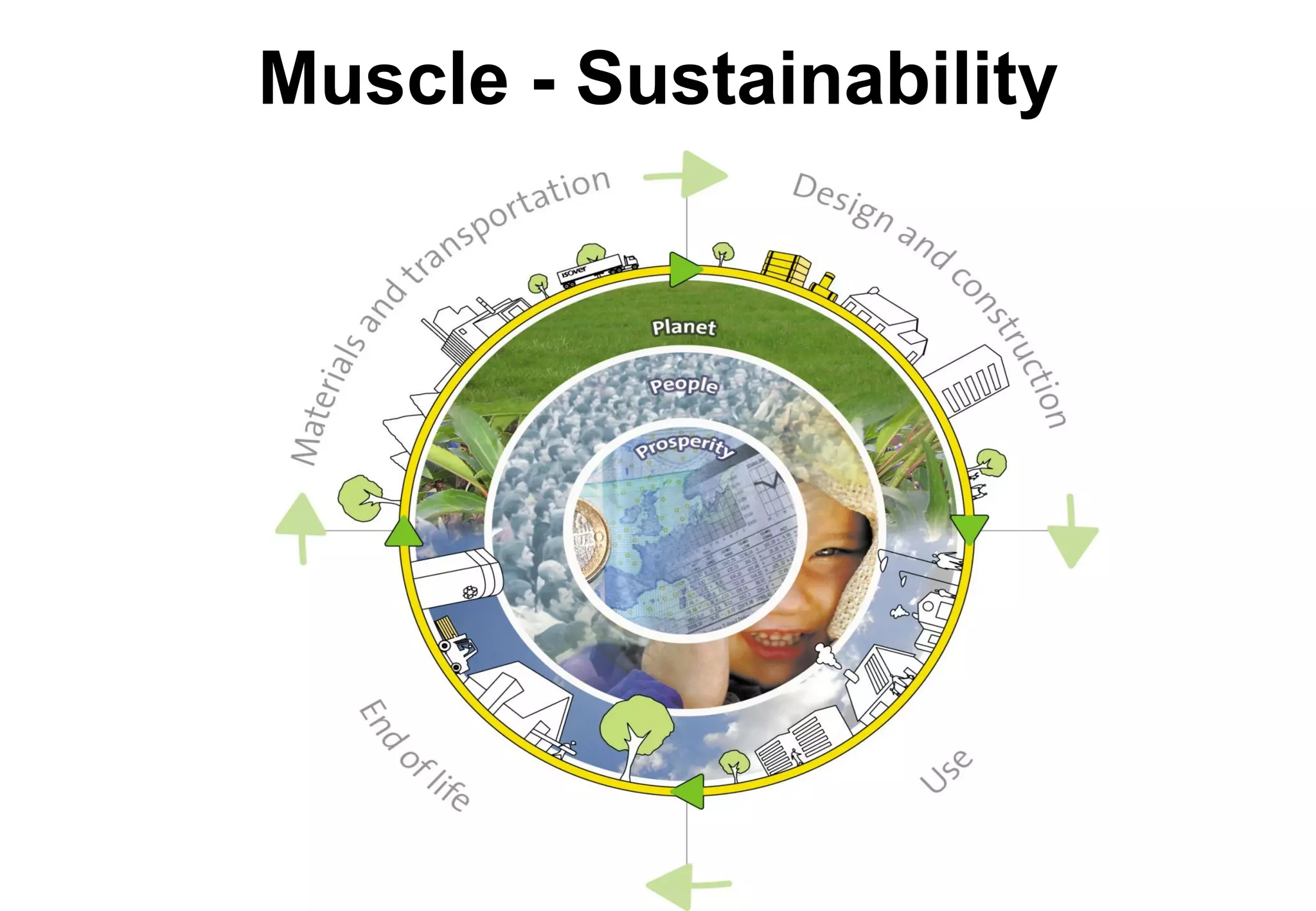Muscle - Sustainability
 