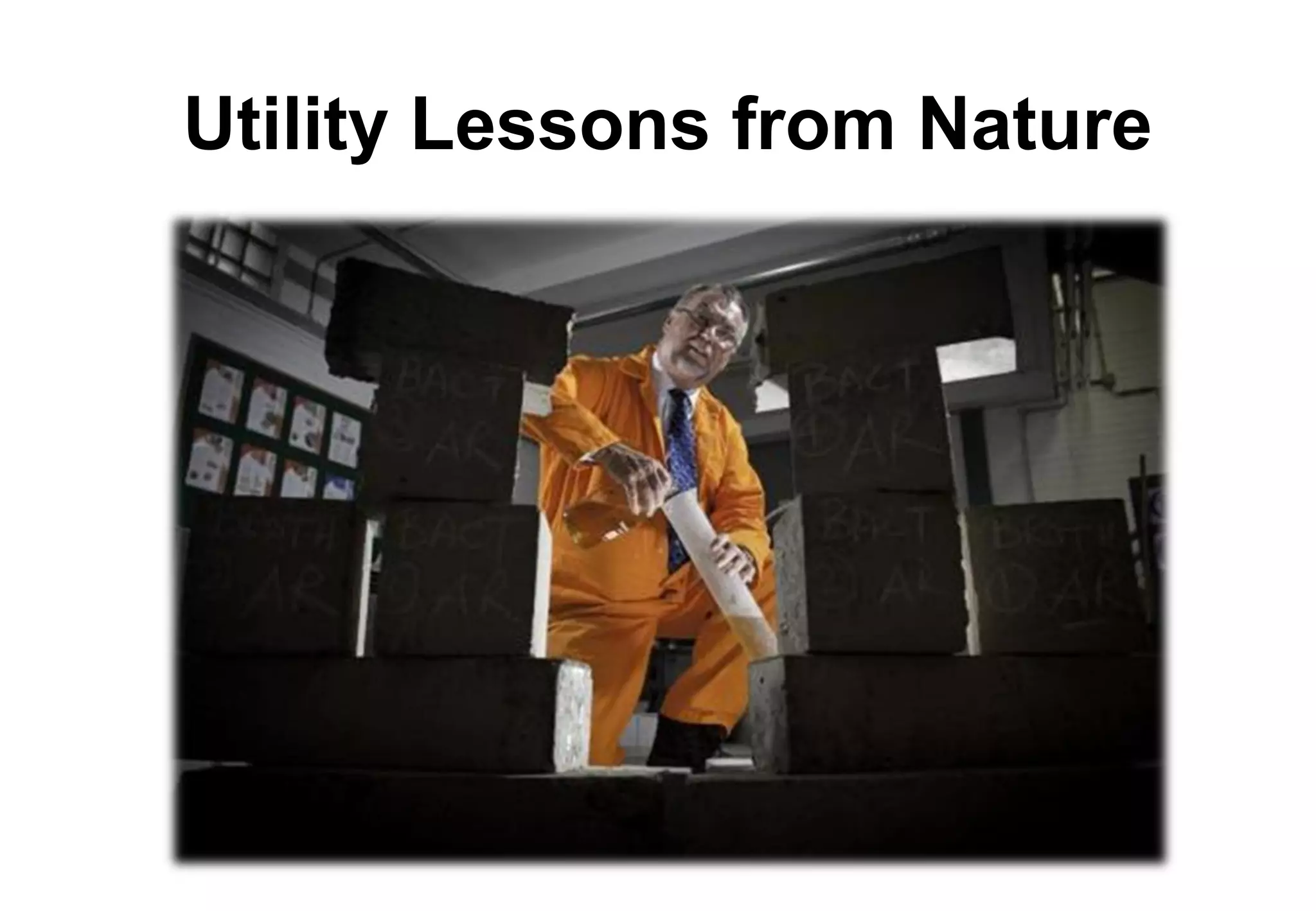 Utility Lessons from Nature
 