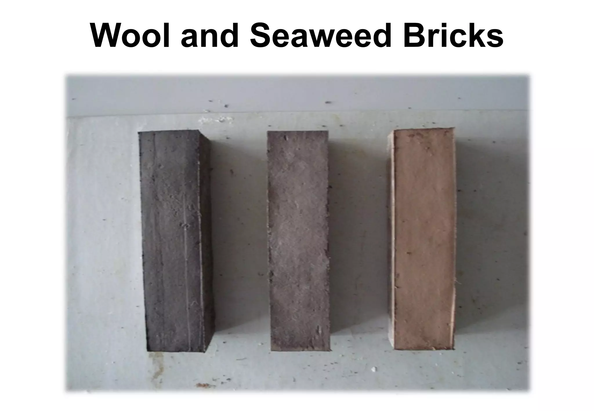 Wool and Seaweed Bricks
 