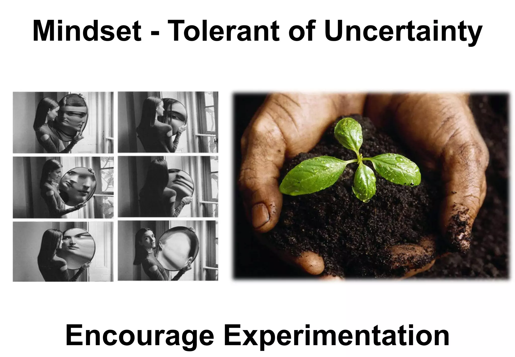 Mindset - Tolerant of Uncertainty




  Encourage Experimentation
 