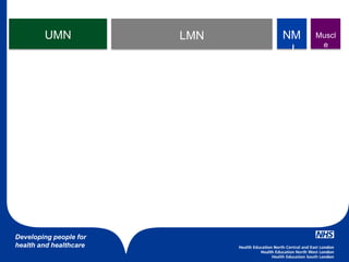 Developing people for
health and healthcare
UMN LMN NM
J
Muscl
e
 