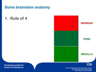 Developing people for
health and healthcare
Some brainstem anatomy
1. Rule of 4
MIDBRAIN
PONS
MEDULLA
3
4
6
5
7
8
 