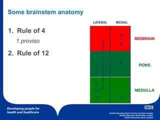 Developing people for
health and healthcare
Some brainstem anatomy
1. Rule of 4
1 proviso
2. Rule of 12
MIDBRAIN
PONS
MEDULLA
3
4
6
12
5
7
8
9
10
11
LATERAL MEDIAL
 