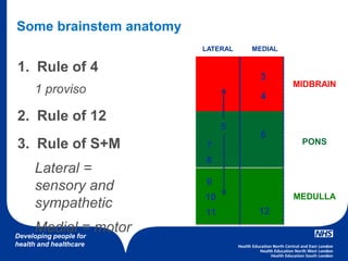 Developing people for
health and healthcare
Some brainstem anatomy
1. Rule of 4
1 proviso
2. Rule of 12
3. Rule of S+M
Lateral =
sensory and
sympathetic
Medial = motor
MIDBRAIN
PONS
MEDULLA
3
4
6
12
5
7
8
9
10
11
LATERAL MEDIAL
 