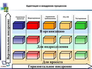 Адаптация и внедрение процессов Горизонтальное внедрение Вертикальное внедрение Моделирование Управление требованиями УК и УИ Тестирование В организацию  Управление  проектом Для подразделения Для проекта 