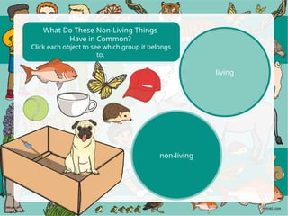 roi-sc-212-living-and-non-living-things-powerpoint_ver_6.pptx