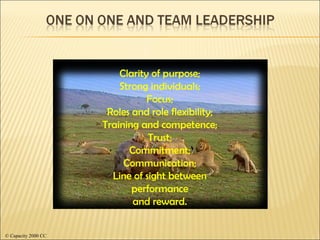 © Capacity 2000 CC Clarity of purpose; Strong individuals; Focus; Roles and role flexibility; Training and competence; Trust; Commitment; Communication; Line of sight between performance and reward. 