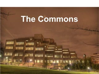 The Commons
 