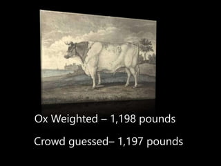 Ox Weighted – 1,198 pounds
Crowd guessed– 1,197 pounds
 