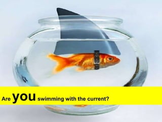 Are you swimming with the current?