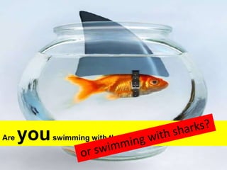 Are you swimming with the current?or swimming with sharks?