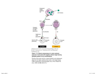 Chapter_11.indd 11

3/17/11 5:11 PM

 