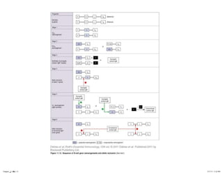 Chapter_11.indd 15

3/17/11 5:11 PM

 