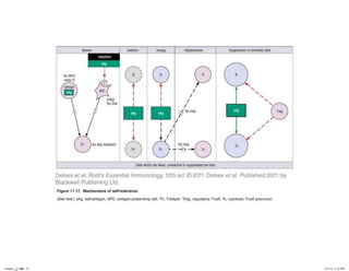 Chapter_11.indd 19

3/17/11 5:11 PM

 