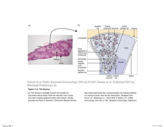 Chapter_11.indd 2

3/17/11 5:11 PM

 