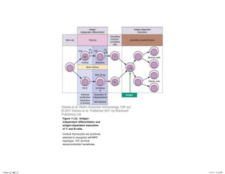 Chapter_11.indd 24

3/17/11 5:11 PM

 