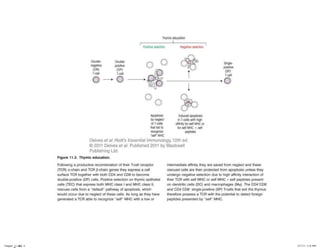 Chapter_11.indd 4

3/17/11 5:11 PM

 