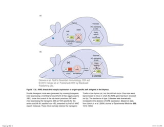 Chapter_11.indd 8

3/17/11 5:11 PM

 