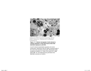 Chapter_11.indd 9

3/17/11 5:11 PM

 