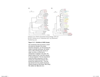 Chapter_14.indd 11

3/17/11 5:22 PM

 