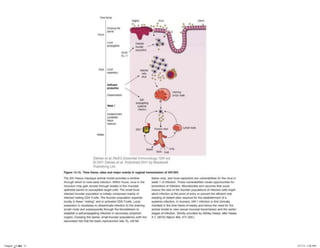 Chapter_14.indd 15

3/17/11 5:22 PM

 