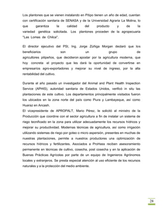 Los plantones que se vienen instalando en Pítipo tienen un año de edad, cuentan
con certificación sanitaria de SENASA y de la Universidad Agraria La Molina, lo
que        garantiza        la         calidad      del    producto       y   de    la
variedad    genética   solicitada.       Los     plantones proceden de la agropecuaria
''Las Lomas de Chilca''.

El director ejecutivo del PSI, Ing. Jorge Zúñiga Morgan declaró que los
beneficiarios                    son                un            grupo            de
agricultores pitipeños, que decidieron apostar por la agricultura moderna, que
hoy   concreta    el proyecto que les dará la oportunidad de convertirse en
empresarios agro-exportadores y mejorar su nivel de ingreso, por la alta
rentabilidad del cultivo.

Durante el año pasado un investigador del Animal and Plant Health Inspection
Service (APHIS), autoridad sanitaria de Estados Unidos, verificó in situ las
plantaciones de este cultivo. Los departamentos principalmente visitados fueron
los ubicados en la zona norte del país como Piura y Lambayeque, así como
Huaraz en Ancash.
El vicepresidente de APROPALT, Mario Pérez, le solicitó al ministro de la
Producción que coordine con el sector agricultura a fin de instalar un sistema de
riego tecnificado en la zona para utilizar adecuadamente los recursos hídricos y
mejorar su productividad. Modernas técnicas de agricultura, así como irrigación
utilizando sistemas de riego por goteo o micro aspersión, presentes en muchas de
nuestras plantaciones, permite a nuestros productores una optimización de
recursos hídricos y fertilizantes. Asociados a ProHass reciben asesoramiento
permanente en técnicas de cultivo, cosecha, post cosecha y en la aplicación de
Buenas Prácticas Agrícolas por parte de un equipo de Ingenieros Agrónomos
locales y extranjeros. Se presta especial atención al uso eficiente de los recursos
naturales y a la protección del medio ambiente.




                                                                                         28
 