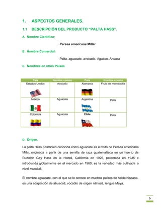 1.       ASPECTOS GENERALES.
1.1      DESCRIPCIÓN DEL PRODUCTO “PALTA HASS”.

A. Nombre Científico:

                          Persea americana Millar

B. Nombre Comercial:

                          Palta, aguacate, avocado, Aguaco, Ahuaca

C. Nombres en otros Países



          País        Nombre común        País          Nombre común
     Estados Unidos     Avocado         Alemania      Fruta de mantequilla




        México          Aguacate        Argentina            Palta




       Colombia         Aguacate          Chile              Palta




D. Origen.

La palta Hass o también conocida como aguacate es el fruto de Persea americana
Mills, originada a partir de una semilla de raza guatemalteca en un huerto de
Rudolph Gay Hass en la Habrá, California en 1926, patentada en 1935 e
introducida globalmente en el mercado en 1960; es la variedad más cultivada a
nivel mundial.

El nombre aguacate, con el que se le conoce en muchos países de habla hispana,
es una adaptación de ahuacatl, vocablo de origen náhuatl, lengua Maya.



                                                                                 6
 