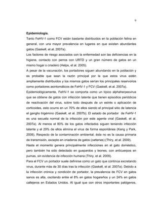 9 
Epidemiología. 
Tanto FeHV-1 como FCV están bastante distribuidos en la población felina en 
general, con una mayor prevalencia en lugares en que existen abundantes 
gatos (Gaskell, et al. 2007a). 
Los factores de riesgo asociados con la enfermedad son las deficiencias en la 
higiene, contacto con perros con URTD y un gran número de gatos en un 
mismo hogar o criadero (Helps, et al. 2005). 
A pesar de la vacunación, los portadores siguen abundando en la población y 
es probable que sean la razón principal por la que estos virus estén 
ampliamente distribuidos y los mismos gatos serían los principales reservorios 
como portadores asintomáticos de FeHV-1 y FCV (Gaskell, et al. 2007a). 
Epidemiológicamente, FeHV-1 se comporta como un típico alphaherpesvirus 
que se obtiene de gatos con infección latente que tienen episodios periódicos 
de reactivación del virus, sobre todo después de un estrés o aplicación de 
corticoides, esto ocurre en un 70% de ellos siendo el principal sitio de latencia 
el ganglio trigémino (Gaskell, et al. 2007b). El estado de portador de FeHV-1 
es una secuela normal de la infección por este agente viral (Gaskell, et al. 
2007a). Al menos el 80% de los gatos infectados siguen teniendo infección 
latente y el 29% de ellos elimina el virus de forma espontánea (Kang y Park, 
2008). Respecto de la contaminación ambiental, ésta no es la causa primaria 
de transmisión, excepto en criaderos de gatos (catteries) (Thiry, et al. 2009). 
Hasta el momento genera principalmente infecciones en el gato doméstico, 
pero también ha sido detectado en guepardos y leones, con anticuerpos en 
pumas, sin evidencia de infección humana (Thiry, et al. 2009). 
Para el FCV un portador suele definirse como un gato que continúa excretando 
virus, durante más de 30 días tras la infección (Gaskell, et al. 2007a). Debido a 
la infección crónica y condición de portador, la prevalencia de FCV en gatos 
sanos es alta, oscilando entre el 8% en gatos hogareños y un 24% en gatos 
callejeros en Estados Unidos. Al igual que con otros importantes patógenos, 
 