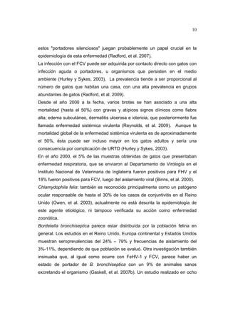 10 
estos "portadores silenciosos" juegan probablemente un papel crucial en la 
epidemiología de esta enfermedad (Radford, et al. 2007). 
La infección con el FCV puede ser adquirida por contacto directo con gatos con 
infección aguda o portadores, u organismos que persisten en el medio 
ambiente (Hurley y Sykes, 2003). La prevalencia tiende a ser proporcional al 
número de gatos que habitan una casa, con una alta prevalencia en grupos 
abundantes de gatos (Radford, et al. 2009). 
Desde el año 2000 a la fecha, varios brotes se han asociado a una alta 
mortalidad (hasta el 50%) con graves y atípicos signos clínicos como fiebre 
alta, edema subcutáneo, dermatitis ulcerosa e ictericia, que posteriormente fue 
llamada enfermedad sistémica virulenta (Reynolds, et al. 2009). Aunque la 
mortalidad global de la enfermedad sistémica virulenta es de aproximadamente 
el 50%, ésta puede ser incluso mayor en los gatos adultos y sería una 
consecuencia por complicación de URTD (Hurley y Sykes, 2003). 
En el año 2000, el 5% de las muestras obtenidas de gatos que presentaban 
enfermedad respiratoria, que se enviaron al Departamento de Virología en el 
Instituto Nacional de Veterinaria de Inglaterra fueron positivos para FHV y el 
18% fueron positivos para FCV, luego del aislamiento viral (Binns, et al. 2000). 
Chlamydophila felis: también es reconocido principalmente como un patógeno 
ocular responsable de hasta el 30% de los casos de conjuntivitis en el Reino 
Unido (Owen, et al. 2003), actualmente no está descrita la epidemiología de 
este agente etiológico, ni tampoco verificada su acción como enfermedad 
zoonótica. 
Bordetella bronchiseptica parece estar distribuída por la población felina en 
general. Los estudios en el Reino Unido, Europa continental y Estados Unidos 
muestran seroprevalencias del 24% – 79% y frecuencias de aislamiento del 
3%-11%, dependiendo de que población se evaluó. Otra investigación también 
insinuaba que, al igual como ocurre con FeHV-1 y FCV, parece haber un 
estado de portador de B. bronchiseptica con un 9% de animales sanos 
excretando el organismo (Gaskell, et al. 2007b). Un estudio realizado en ocho 
 