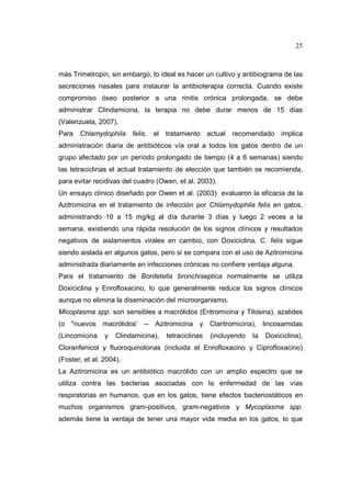 25 
más Trimetropin, sin embargo, lo ideal es hacer un cultivo y antibiograma de las 
secreciones nasales para instaurar la antibioterapia correcta. Cuando existe 
compromiso óseo posterior a una rinitis crónica prolongada, se debe 
administrar Clindamicina, la terapia no debe durar menos de 15 días 
(Valenzuela, 2007). 
Para Chlamydophila felis, el tratamiento actual recomendado implica 
administración diaria de antibióticos vía oral a todos los gatos dentro de un 
grupo afectado por un período prolongado de tiempo (4 a 6 semanas) siendo 
las tetraciclinas el actual tratamiento de elección que también se recomienda, 
para evitar recidivas del cuadro (Owen, et al. 2003). 
Un ensayo clínico diseñado por Owen et al. (2003) evaluaron la eficacia de la 
Azitromicina en el tratamiento de infección por Chlamydophila felis en gatos, 
administrando 10 a 15 mg/kg al día durante 3 días y luego 2 veces a la 
semana, existiendo una rápida resolución de los signos clínicos y resultados 
negativos de aislamientos virales en cambio, con Doxiciclina, C. felis sigue 
siendo aislada en algunos gatos, pero si se compara con el uso de Azitromicina 
administrada diariamente en infecciones crónicas no confiere ventaja alguna. 
Para el tratamiento de Bordetella bronchiseptica normalmente se utiliza 
Doxiciclina y Enrofloxacino, lo que generalmente reduce los signos clínicos 
aunque no elimina la diseminación del microorganismo. 
Micoplasma spp. son sensibles a macrólidos (Eritromicina y Tilosina), azalides 
(o nuevos macrólidos' -- Azitromicina y Claritromicina), lincosamidas 
(Lincomicina y Clindamicina), tetraciclinas (incluyendo la Doxiciclina), 
Cloranfenicol y fluoroquinolonas (incluida el Enrofloxacino y Ciprofloxacino) 
(Foster, et al. 2004). 
La Azitromicina es un antibiótico macrólido con un amplio espectro que se 
utiliza contra las bacterias asociadas con la enfermedad de las vías 
respiratorias en humanos, que en los gatos, tiene efectos bacteriostáticos en 
muchos organismos gram-positivos, gram-negativos y Mycoplasma spp. 
además tiene la ventaja de tener una mayor vida media en los gatos, lo que 
 