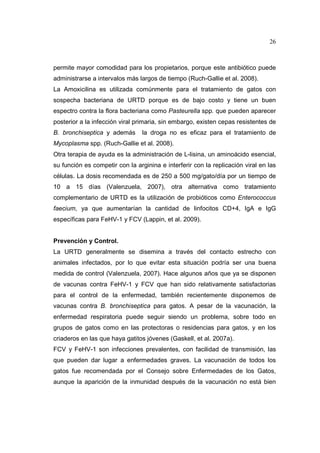 26 
permite mayor comodidad para los propietarios, porque este antibiótico puede 
administrarse a intervalos más largos de tiempo (Ruch-Gallie et al. 2008). 
La Amoxicilina es utilizada comúnmente para el tratamiento de gatos con 
sospecha bacteriana de URTD porque es de bajo costo y tiene un buen 
espectro contra la flora bacteriana como Pasteurella spp. que pueden aparecer 
posterior a la infección viral primaria, sin embargo, existen cepas resistentes de 
B. bronchiseptica y además la droga no es eficaz para el tratamiento de 
Mycoplasma spp. (Ruch-Gallie et al. 2008). 
Otra terapia de ayuda es la administración de L-lisina, un aminoácido esencial, 
su función es competir con la arginina e interferir con la replicación viral en las 
células. La dosis recomendada es de 250 a 500 mg/gato/día por un tiempo de 
10 a 15 días (Valenzuela, 2007), otra alternativa como tratamiento 
complementario de URTD es la utilización de probióticos como Enterococcus 
faecium, ya que aumentarían la cantidad de linfocitos CD+4, IgA e IgG 
específicas para FeHV-1 y FCV (Lappin, et al. 2009). 
Prevención y Control. 
La URTD generalmente se disemina a través del contacto estrecho con 
animales infectados, por lo que evitar esta situación podría ser una buena 
medida de control (Valenzuela, 2007). Hace algunos años que ya se disponen 
de vacunas contra FeHV-1 y FCV que han sido relativamente satisfactorias 
para el control de la enfermedad, también recientemente disponemos de 
vacunas contra B. bronchiseptica para gatos. A pesar de la vacunación, la 
enfermedad respiratoria puede seguir siendo un problema, sobre todo en 
grupos de gatos como en las protectoras o residencias para gatos, y en los 
criaderos en las que haya gatitos jóvenes (Gaskell, et al. 2007a). 
FCV y FeHV-1 son infecciones prevalentes, con facilidad de transmisión, las 
que pueden dar lugar a enfermedades graves. La vacunación de todos los 
gatos fue recomendada por el Consejo sobre Enfermedades de los Gatos, 
aunque la aparición de la inmunidad después de la vacunación no está bien 
 