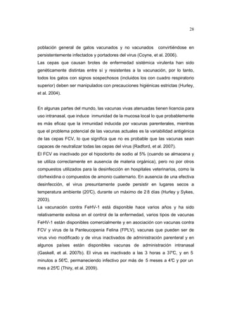 28 
población general de gatos vacunados y no vacunados convirtiéndose en 
persistentemente infectados y portadores del virus (Coyne, et al. 2006). 
Las cepas que causan brotes de enfermedad sistémica virulenta han sido 
genéticamente distintas entre sí y resistentes a la vacunación, por lo tanto, 
todos los gatos con signos sospechosos (incluidos los con cuadro respiratorio 
superior) deben ser manipulados con precauciones higiénicas estrictas (Hurley, 
et al. 2004). 
En algunas partes del mundo, las vacunas vivas atenuadas tienen licencia para 
uso intranasal, que induce inmunidad de la mucosa local lo que probablemente 
es más eficaz que la inmunidad inducida por vacunas parenterales, mientras 
que el problema potencial de las vacunas actuales es la variabilidad antigénica 
de las cepas FCV, lo que significa que no es probable que las vacunas sean 
capaces de neutralizar todas las cepas del virus (Radford, et al. 2007). 
El FCV es inactivado por el hipoclorito de sodio al 5% (cuando se almacena y 
se utiliza correctamente en ausencia de materia orgánica), pero no por otros 
compuestos utilizados para la desinfección en hospitales veterinarios, como la 
clorhexidina o compuestos de amonio cuaternario. En ausencia de una efectiva 
desinfección, el virus presuntamente puede persistir en lugares secos a 
temperatura ambiente (20°C), durante un máximo de 2 8 días (Hurley y Sykes, 
2003). 
La vacunación contra FeHV-1 está disponible hace varios años y ha sido 
relativamente exitosa en el control de la enfermedad, varios tipos de vacunas 
FeHV-1 están disponibles comercialmente y en asociación con vacunas contra 
FCV y virus de la Panleucopenia Felina (FPLV), vacunas que pueden ser de 
virus vivo modificado y de virus inactivados de administración parenteral y en 
algunos países están disponibles vacunas de administración intranasal 
(Gaskell, et al. 2007b). El virus es inactivado a las 3 horas a 37°C, y en 5 
minutos a 56°C, permaneciendo infectivo por más de 5 meses a 4°C y por un 
mes a 25°C (Thiry, et al. 2009). 
 