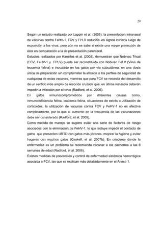 29 
Según un estudio realizado por Lappin et al. (2006), la presentación intranasal 
de vacunas contra FeHV-1, FCV y FPLV reduciría los signos clínicos luego de 
exposición a los virus, pero aún no se sabe si existe una mayor protección de 
ésta en comparación a la de presentación parenteral. 
Estudios realizados por Kanellos et al. (2008), demuestran que Nobivac Tricat 
(FCV, FeHV-1 y FPLV) puede ser reconstituida con Nobivac FeLV (Virus de 
leucemia felina) e inoculado en los gatos por vía subcutánea, en una dosis 
única de preparación sin comprometer la eficacia o los perfiles de seguridad de 
cualquiera de estas vacunas, mientras que para FCV se necesita del desarrollo 
de un sentido más amplio de reacción cruzada que, en última instancia deberán 
impedir la infección por el virus (Radford, et al. 2006). 
En gatos inmunocomprometidos por diferentes causas como, 
inmunodeficiencia felina, leucemia felina, situaciones de estrés o utilización de 
corticoides, la utilización de vacunas contra FCV y FeHV-1 no es efectiva 
completamente, por lo que el aumento en la frecuencia de las vacunaciones 
debe ser considerado (Radford, et al. 2009). 
Como medida de manejo se sugiere evitar una serie de factores de riesgo 
asociados con la eliminación de FeHV-1, lo que incluye impedir el contacto de 
gatos que presenten URTD con gatos más jóvenes, mejorar la higiene y evitar 
hogares con muchos gatos (Gaskell, et al. 2007b). En criaderos donde la 
enfermedad es un problema se recomienda vacunar a los cachorros a las 6 
semanas de edad (Radford, et al. 2006). 
Existen medidas de prevención y control de enfermedad sistémica hemorrágica 
asociada a FCV, las que se explican más detalladamente en el Anexo 1. 
 