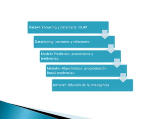 Inteligencia De Negocios - Rojas Figueroa Erick