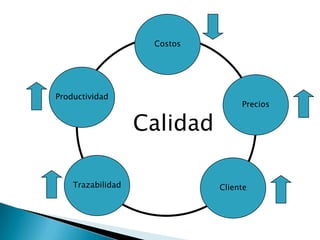 Inteligencia De Negocios - Rojas Figueroa Erick