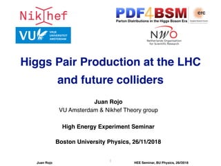 Juan Rojo
VU Amsterdam & Nikhef Theory group
High Energy Experiment Seminar
Boston University Physics, 26/11/2018
Juan Rojo HEE Seminar, BU Physics, 26//2018
1
Higgs Pair Production at the LHC
and future colliders
 