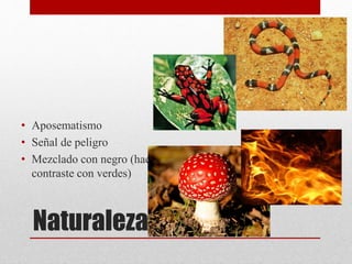 Naturaleza
• Aposematismo
• Señal de peligro
• Mezclado con negro (hace
contraste con verdes)
 
