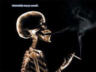 Uiteindelijk stop je vanzelf..
 