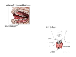 Het kan ook in je mond beginnen:
Of in je keel..
 