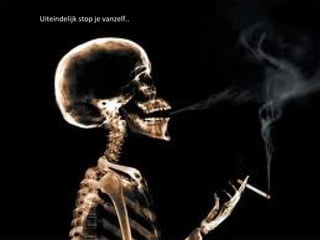 Uiteindelijk stop je vanzelf..Uiteindelijk stop je vanzelf..
 