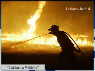 O Signo multifacetado de Roland Barthes