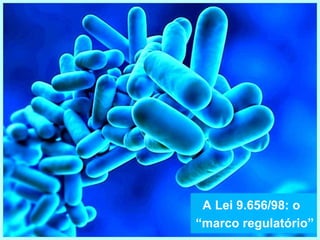 A Lei 9.656/98: o
“marco regulatório”
 