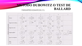 Rol De Enfermeria en la Adaptacion neonatal (1).pptx