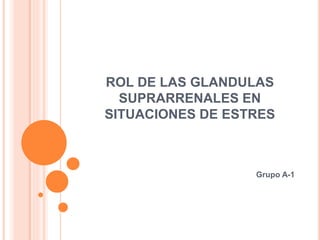 ROL DE LAS GLANDULAS
SUPRARRENALES EN
SITUACIONES DE ESTRES
Grupo A-1
 