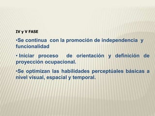 IV y V FASE 
•Se continua con la promoción de independencia y 
funcionalidad 
• Iniciar proceso de orientación y definición de 
proyección ocupacional. 
•Se optimizan las habilidades perceptúales básicas a 
nivel visual, espacial y temporal. 
 