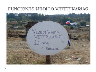 Rol del medico veterinario en desastres naturales | PDF
