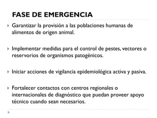 Rol del medico veterinario en desastres naturales | PDF