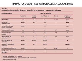 Rol del medico veterinario en desastres naturales | PDF