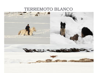 Rol del medico veterinario en desastres naturales | PDF